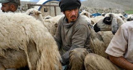 طالبان ده‌ها هزار افغان را برای کار به خارج از افغانستان می‌فرستد
