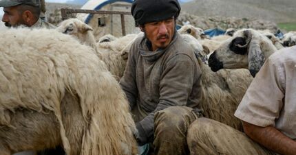 طالبان ده‌ها هزار افغان را برای کار به خارج از افغانستان می‌فرستد