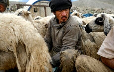 طالبان ده‌ها هزار افغان را برای کار به خارج از افغانستان می‌فرستد
