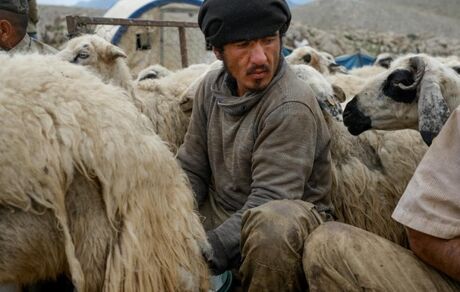 طالبان ده‌ها هزار افغان را برای کار به خارج از افغانستان می‌فرستد