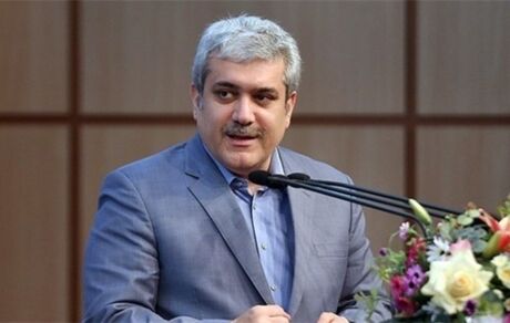 فرصت طلایی شرکت‌های دانشی کشاورزی با حذف یارانه‌ها/در حالت مبارزه با اقتصاد سنتی هستیم