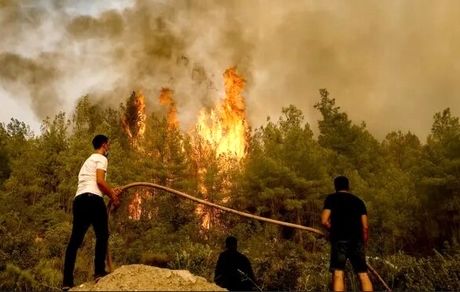 اطفای حریق در میانکاله/ عدم همراهی برخی دستگاهها با محیط زیست در این رابطه