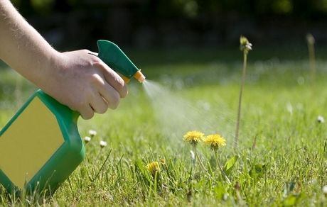 این علف‌کش را نخرید، غیرمجاز است
