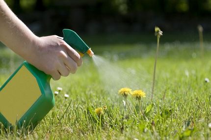 این علف‌کش را نخرید، غیرمجاز است