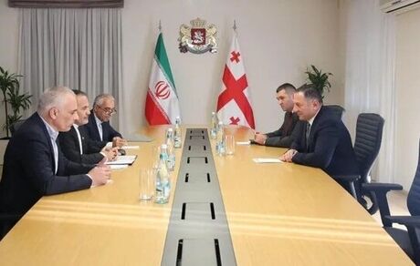 سفیر ایران خواستار حل مشکلات اقامتی تجار در گرجستان شد