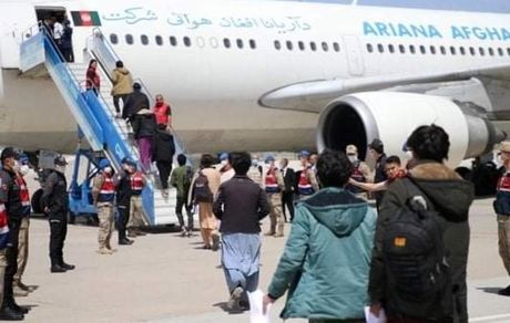 ترکیه، صدها پناهجوی افغانستان را برگرداند