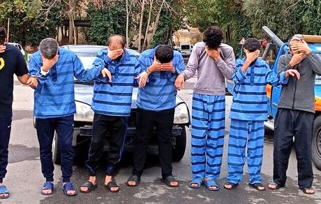 سارقان سرقت ۴۵ خودرو با جرثقیل در تهران دستگیر شدند