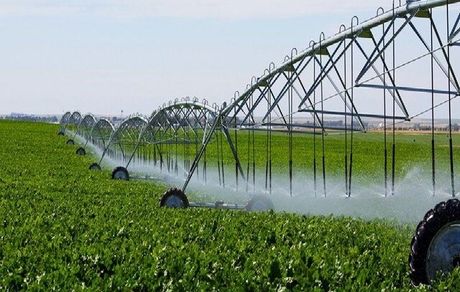 نوری قزلجه: حل بحران آب زمان‌بر است/ موضوع «آب‌های زیر زمینی» باید در اولویت قرار بگیرد