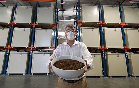 تبدیل جسد انسان به کود در نیویورک قانونی شد