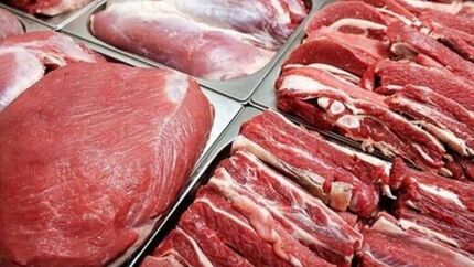 نیازی به واردات گوشت قرمز از خارج کشور نداریم