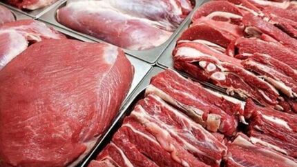 نیازی به واردات گوشت قرمز از خارج کشور نداریم