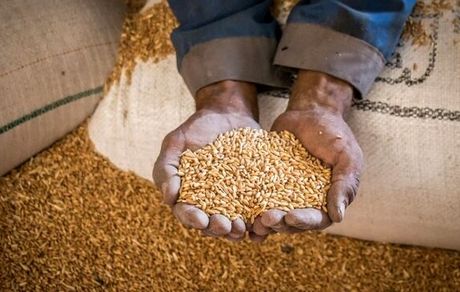 اعلام میزان زکات فطریه عید سعید فطر سال ۱۴۰۴