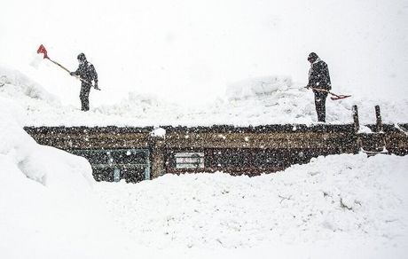 خسارت ۷۹۰ میلیارد تومانی بارش سنگین برف به کشاورزی چهارمحال و بختیاری