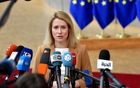 اتحادیه اروپا خواستار تحقیقات بین‌المللی درخصوص سقوط هواپیمای مسافری جمهوری آذربایجان شد