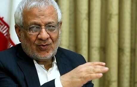 
بادامچیان: دولت همواره مراقب باشد که شبکه‌های پنهانی در ایران شکل نگیرد
