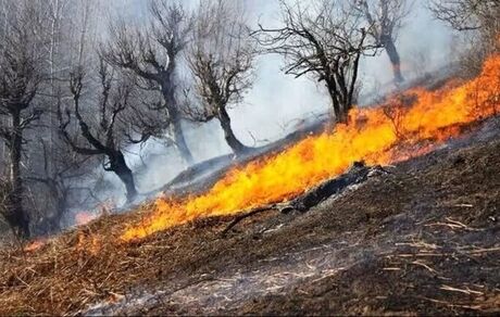مهار آتش‌سوزی نمک آبرود چالوس