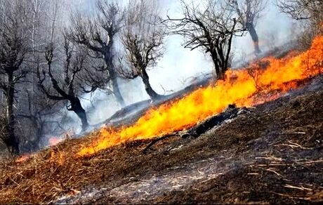 مهار آتش‌سوزی نمک آبرود چالوس