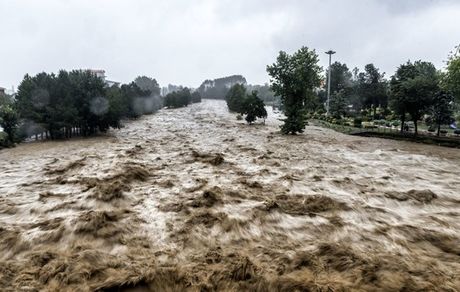  جان باختن 8 هموطن در سیل 6 روز اخیر/ آخرین وضعیت امدادرسانی در ۱۵ استان درگیر سیل