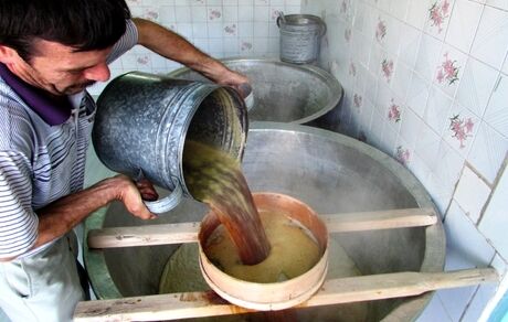 دوشابچی خانا با بوی همیشگی شیره انگور