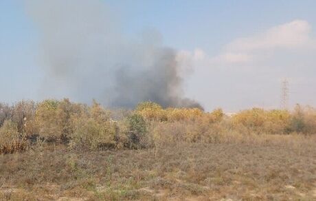مهار آتش‌سوزی در نزدیکی روستای چاه شور شهرستان گناوه