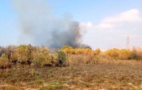 مهار آتش‌سوزی در نزدیکی روستای چاه شور شهرستان گناوه