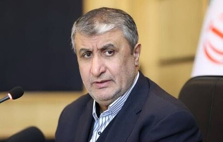 واحدهای دوم و سوم نیروگاه اتمی بوشهر در حال احداث است