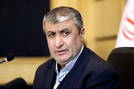 واحدهای دوم و سوم نیروگاه اتمی بوشهر در حال احداث است