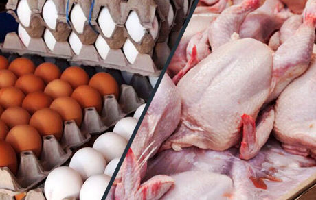 صادرات مرغ و تخم مرغ به کویت آزاد شد
