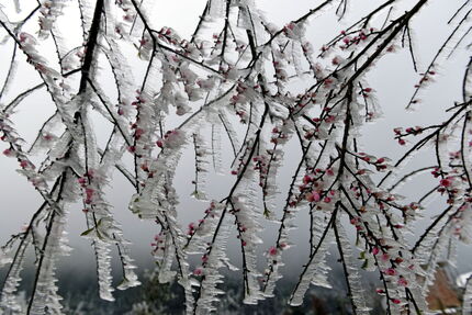 سرمای شدید در راه کشور