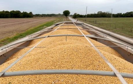 ترامپ برای چین مجوز خرید سویا و محصولات کشاورزی از آمریکا داد