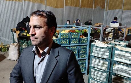 ۲۰ هزار تن سیب و پرتقال شب عید ذخیره‌سازی شده است