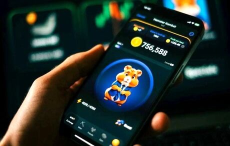 صعود ارز همستر در یک روز