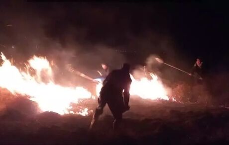آتش سوزی تالاب گندمان مهار شد