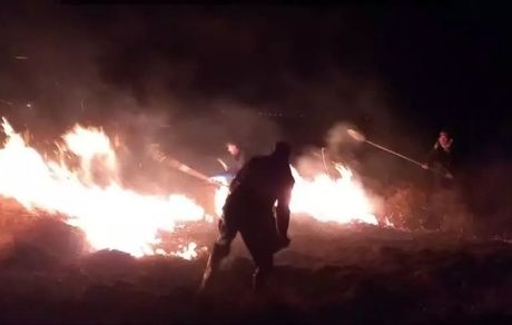 آتش سوزی تالاب گندمان مهار شد