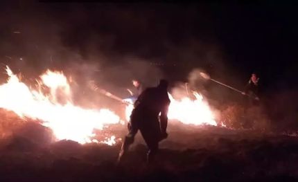 آتش سوزی تالاب گندمان مهار شد