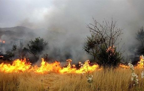آتش گرفتن ۱۰.۵ هکتار از مراتع سمیرم