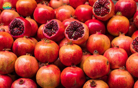صادرات انار ایران به ۱۳ کشور جهان