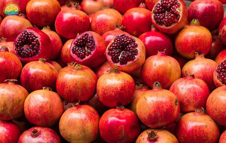 صادرات انار ایران به ۱۳ کشور جهان