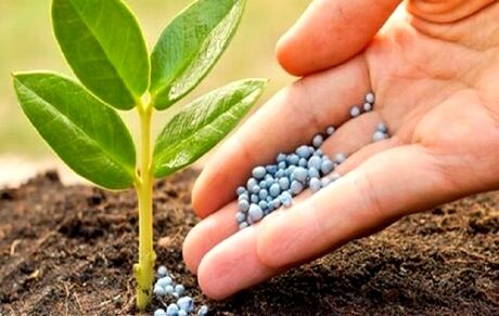 توزیع سه میلیون تن کود یارانه‌ای ویژه بهره‌برداران بخش کشاورزی در کشور