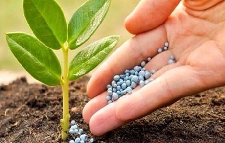 توزیع سه میلیون تن کود یارانه‌ای ویژه بهره‌برداران بخش کشاورزی در کشور