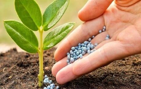 توزیع سه میلیون تن کود یارانه‌ای ویژه بهره‌برداران بخش کشاورزی در کشور