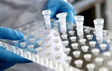 دوپینگ ۵ ورزشکار ایرانی در مسابقات جهانی پرورش اندام اسپانیا