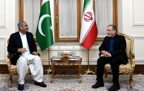 عراقچی و وزیر کشور پاکستان دیدار و رایزنی کردند