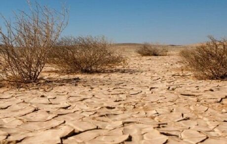 افزایش ۳ برابر سرعت بیابان زایی در کشور