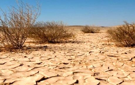 افزایش ۳ برابر سرعت بیابان زایی در کشور