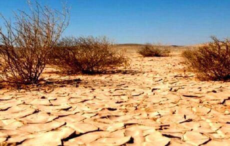 افزایش ۳ برابر سرعت بیابان زایی در کشور