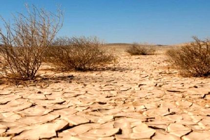 افزایش ۳ برابر سرعت بیابان زایی در کشور