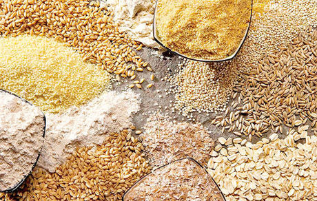 کشف شبکه فساد توزیع نهاده های دامی در گلستان/ سودجویان در تور هوشمندانه اطلاعات سپاه