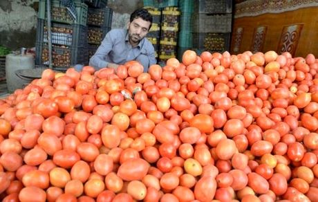 صادرات ۹ کالا به عراق ممنوع شد
