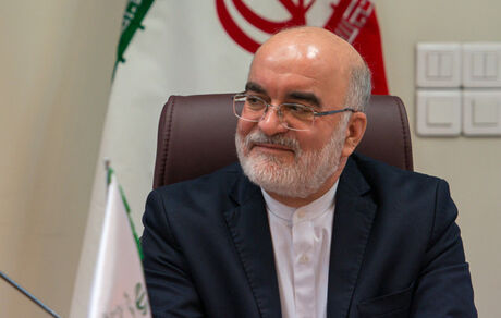  دبیر ستاد حقوق بشر جمهوری اسلامی منصوب شد